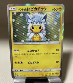 2026年最新】アローラロコンポンチョのピカチュウの人気アイテム