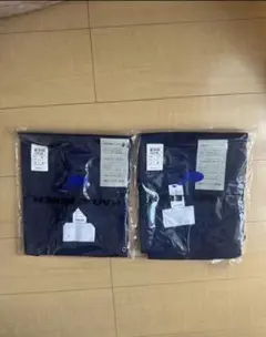 Item thumbnail for item e56c277e-054d-4832-8fb1-6c3cf5344a41