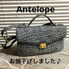 超美品！希少Antelope（アンテロープ）2wayバッグ