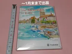 Item thumbnail for item 494b8035-5b25-48fb-b188-bbaca8514eee