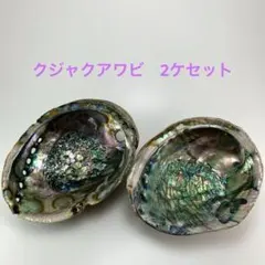 NO.58-52 クジャクアワビ(貝殻) 2ケセット　お徳用