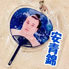 たかぴー様 リクエスト 2点 まとめ商品