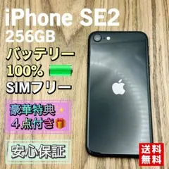 【美品】iPhoneSE2 ブラック 256GB シムフリー 新品液晶バッテリー