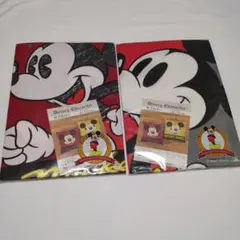 ザブカバー　クッションカバー　ミッキーマウス　ミニーマウス　2枚セット
