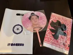 大相撲宇良うちわとタオルセットのサムネイル