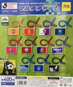 Jリーグ クラブフラッグ＆ネームタグ付きマルチチャーム【セレッソ大阪】