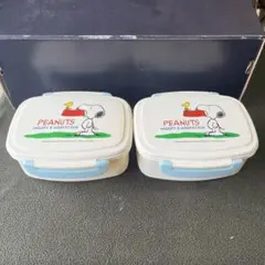 Item thumbnail for item 6266caa7-4f50-4205-a97b-a1630140a1d7