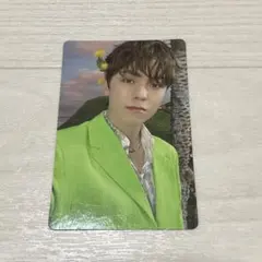 SECTOR17 バーノン トレカ