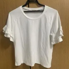 ローズバッド　Tシャツのサムネイル