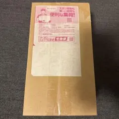 新品・未開封　ポケモンセンター　ヒロシマ　スペシャルBOX