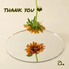 Pepeco＊様 リクエスト 2点 まとめ商品