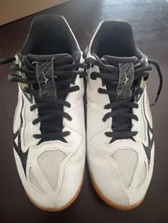 Mizuno バレーボールシューズ サンダーブレード3 24.0㎝