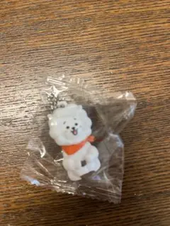 【値下げ且おまけ付き】BT21 オリジナルアクリルステッカー& キーホルダー