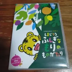 再生確認済！こどもちゃれんじコンサート　しまじろうふしぎなもりのものがたりDVD