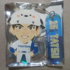 達孝太　プレミアムガチャ　オーロラキーリング