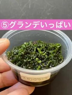 速達❣️トマト様 リクエスト 5点 まとめ商品