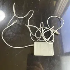 ニンテンドーDS ACアダプター ホワイト