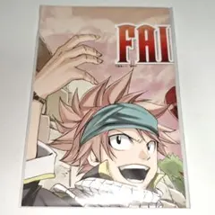 フェアリーテイル FAIRY TAIL ジュビア グレイ ナツ ポストカード