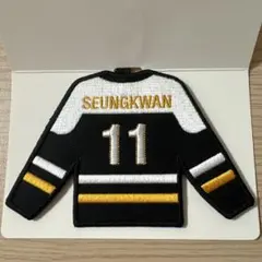 セブチ　ワッペンバッチ　디노　ディノ　DINO オドコン SEVENTEEN セブチ Ode to You ディノ ネームワッペンバッジ 駿河屋