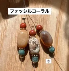 フォッシルコーラル3個セット③