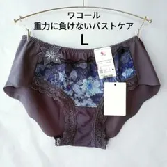 Ｌ ワコール 重力に負けないバストケアブラ ペア ショーツ 定価2970円