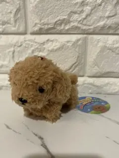 Item thumbnail for item 69b4476a-5c46-44f8-8483-2e0bfcf39cbe