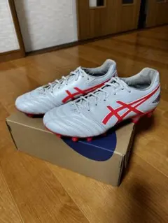 DSLIGHT PRO WIDE DSライト アシックス asics 26.0