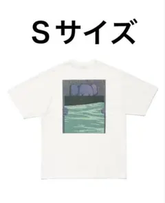 kaws Tシャツ