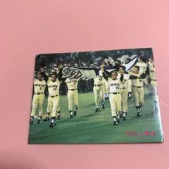 カルビープロ野球チップスカード　1981年No.378巨人、セリーグ優勝