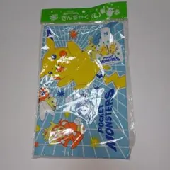 平成レトロ ポケモン きんちゃく袋 Lサイズ 通学 通園 収納袋 Pokémon