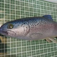 魚類剥製 ニジマス 雄 57㎝ - メルカリ