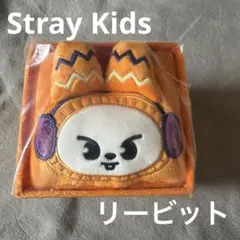 【匿名配送】スキズ SKZOO 収納ボックス リービット リノ