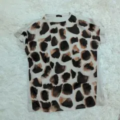 Item thumbnail for item efc30fc5-697b-4423-a899-ec3151c86ab6