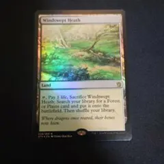 MTG 吹きさらしの荒野 Windswept Heath x4 英語 SP/MP - メルカリ