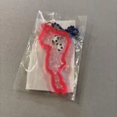 琵琶湖キーホルダー　パンダ　ピンク　草津