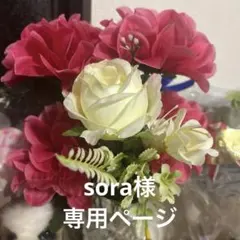 sora様専用ページ