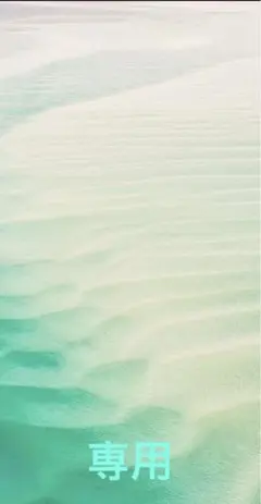【専用】