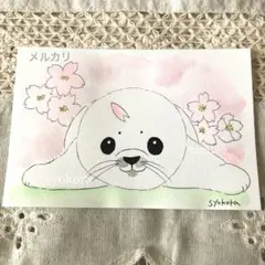 原画　水彩画　アザラシ　桜　春　花　ポストカード　手描きイラスト　アナログ