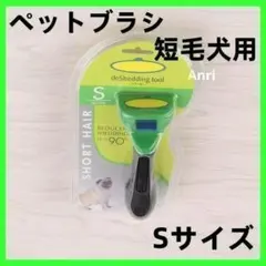 Item thumbnail for item bbc9f1ba-046b-4e9a-bc0a-d63763a30f0a