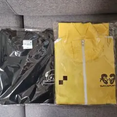 Item thumbnail for item 7143685d-f4c3-4c9c-9d2e-30c00dec57f7