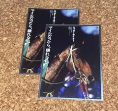 ニッポーテイオー 2枚 ヒーロー列伝シール ステッカー welcomeチャンス