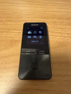 Item thumbnail for item e3ebd310-bae3-4cdc-bf25-77925cb8b1e3