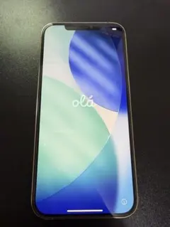 iPhone 12 Pro MAX ジャンク 2026年最新】iPhone 12 Pro Max ジャンクの人気アイテム - メルカリ