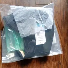 Item thumbnail for item c2af7ee9-12fa-4e85-bd29-a44b4489a865