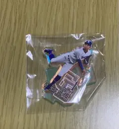 即日発送 中日ドラゴンズ FINALシリーズオーロラアクリルスタンド 福永