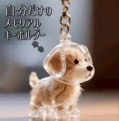 1点 トイプードル　犬の毛　収納　毛玉　メモリアルグッズ　キーホルダー