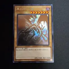 レッドアイズ・ブラックドラゴン ホロ仕様 限定版 レッドアイズ・ブラックドラゴン ホロ仕様 限定版 遊戯王 レッド