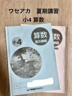 早稲田アカデミー ワセアカ　小4 夏期講習 算数 夏の課題 中学受験 中受対策