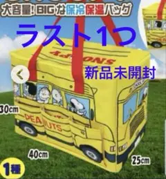 新品未開封！スヌーピー　BIGな保冷保温バッグ　PEANUTS 3ポケット付限定
