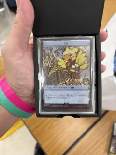 宝物 ステンレストークン ステンレス製)宝物トークン《日本語》【PRM】